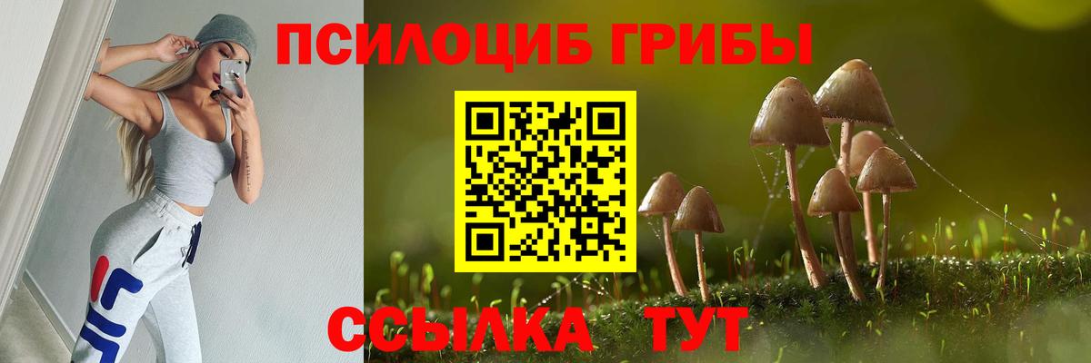 Псилоцибиновые грибы GOLDEN TEACHER  Вход с VPN  Зеленокумск 
